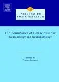 Cover of The Boundaries of Consciousness