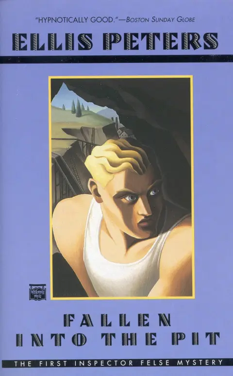 Cover of Fallen into the Pit