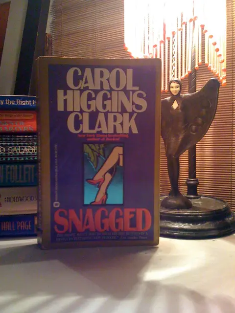 Cover of Snagged