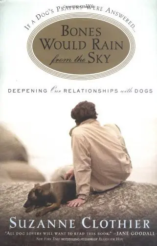Cover of Bones Would Rain from the Sky