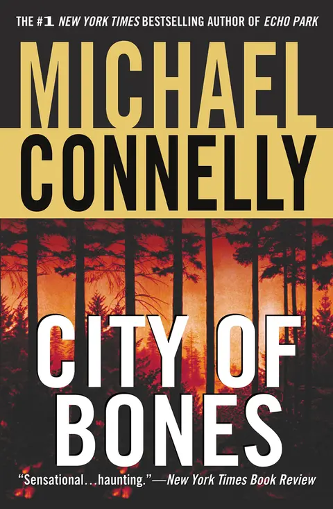 Cover of City of Bones