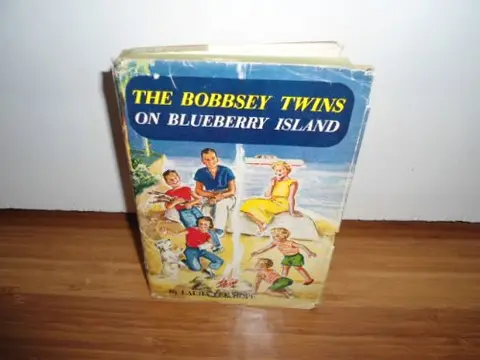 Cover of Bobbsey Twins 00
