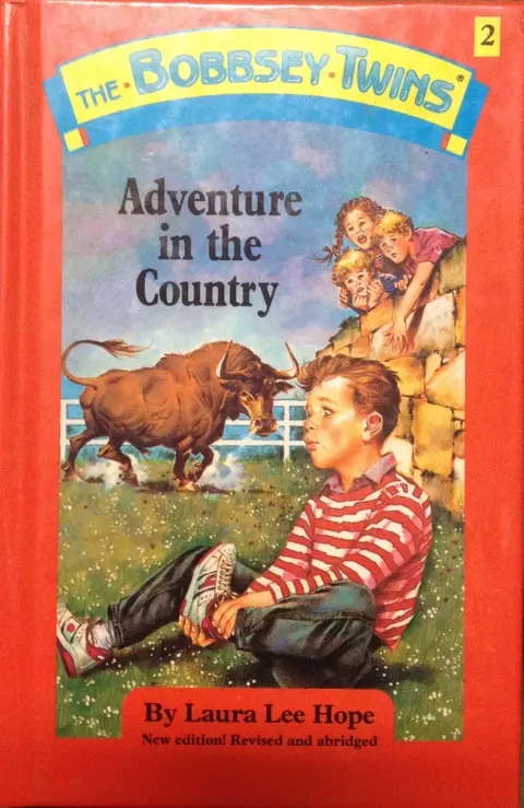 Cover of Bobbsey Twins 02