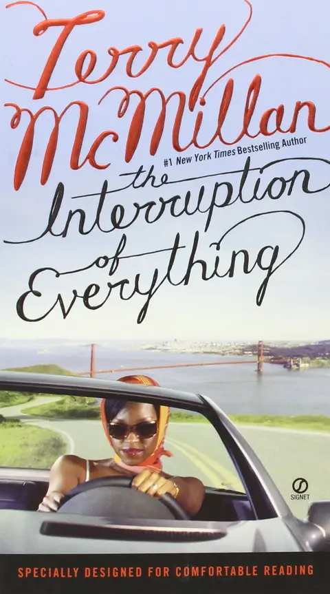 Cover of The Interruption of Everything