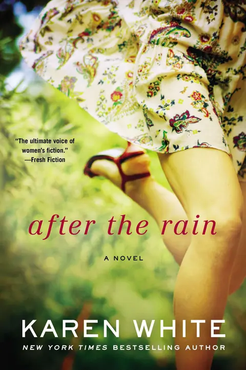 Cover of After the Rain