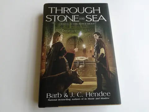 Cover of Through Stone and Sea