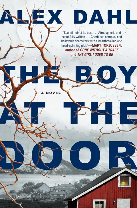Cover of The Boy at the Door