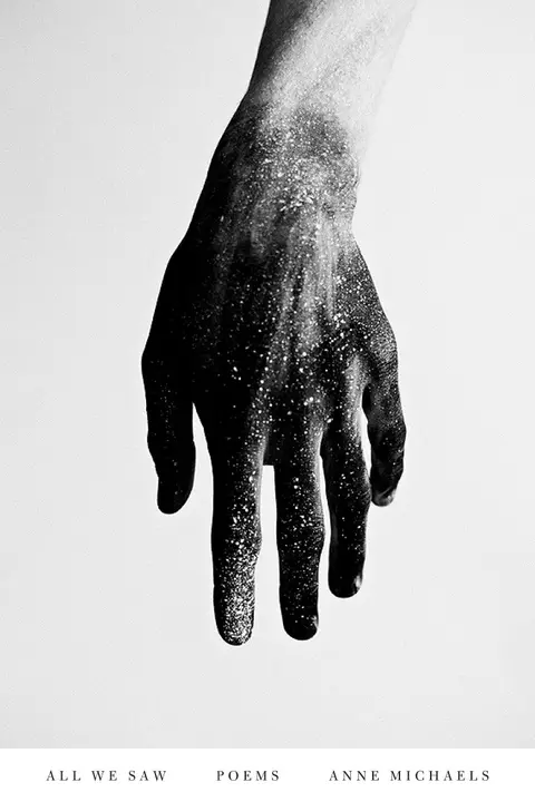 Cover of All We Saw