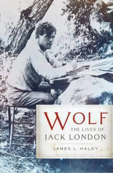 Cover of Wolf