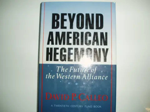 Cover of Beyond American Hegemony