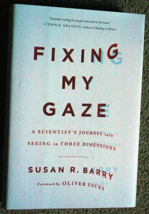 Cover of Fixing My Gaze