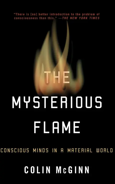 Cover of The Mysterious Flame