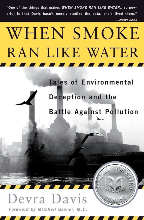 Cover of When Smoke Ran Like Water