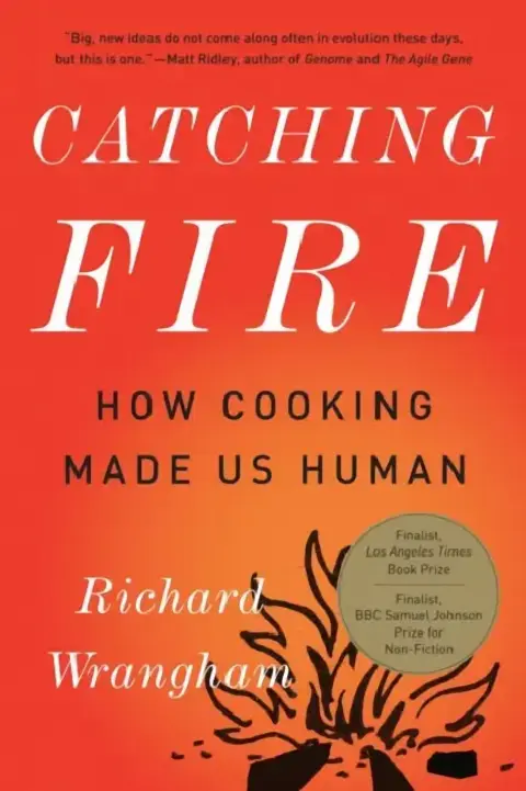 Cover of Catching Fire