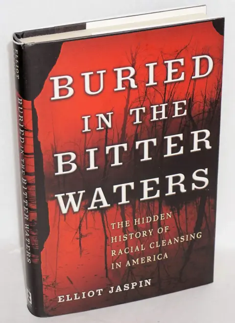 Cover of Buried in the Bitter Waters