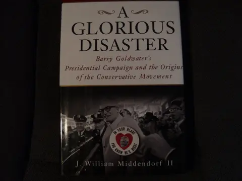 Cover of A Glorious Disaster