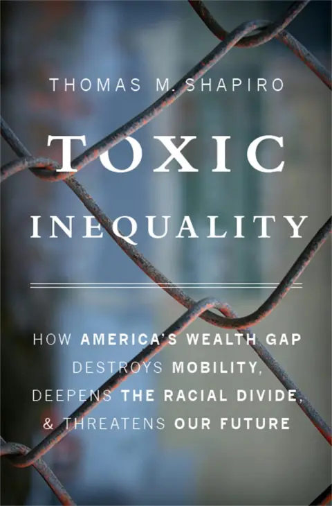 Cover of Toxic Inequality