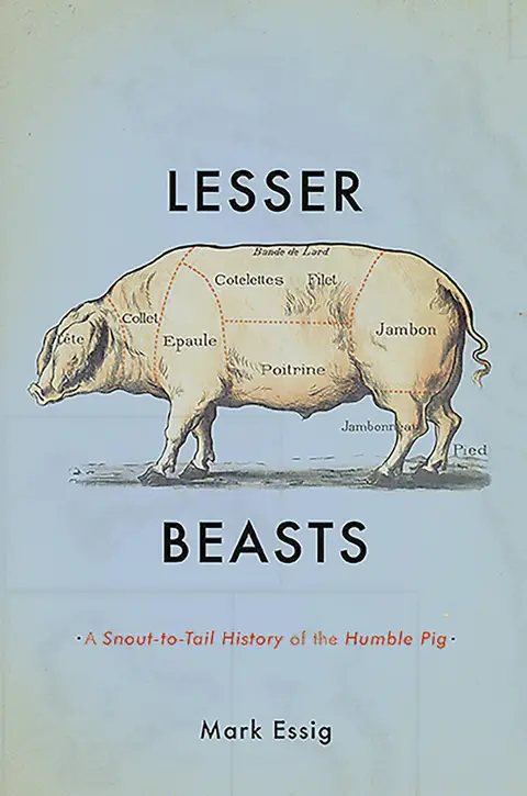 Cover of Lesser Beasts