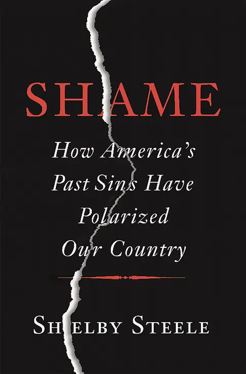 Cover of Shame