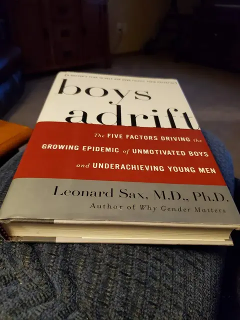 Cover of Boys Adrift