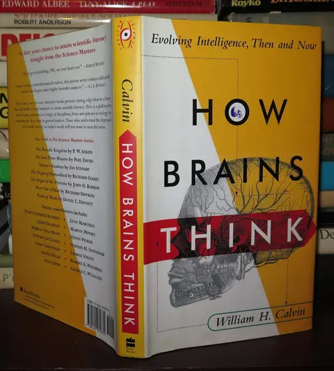 Cover of How Brains Think