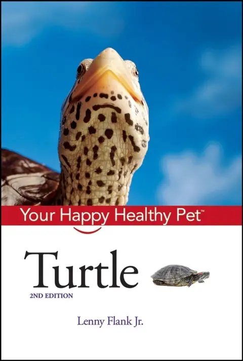 Cover of Turtle