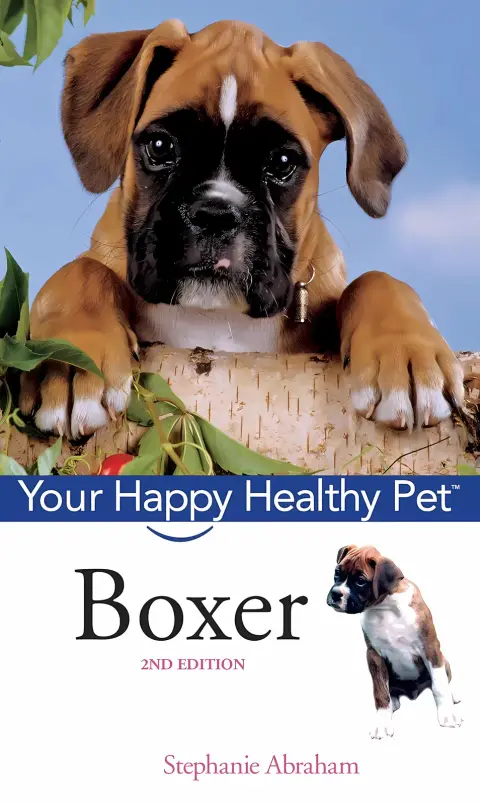 Cover of Boxer
