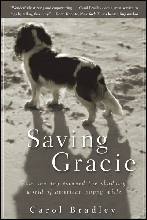 Cover of Saving Gracie