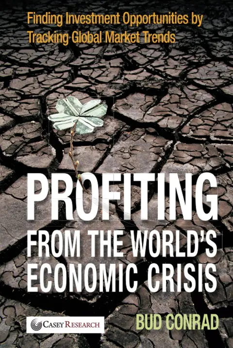 Cover of Profiting from the World's Economic Crisis