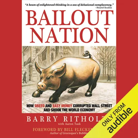 Cover of Bailout Nation