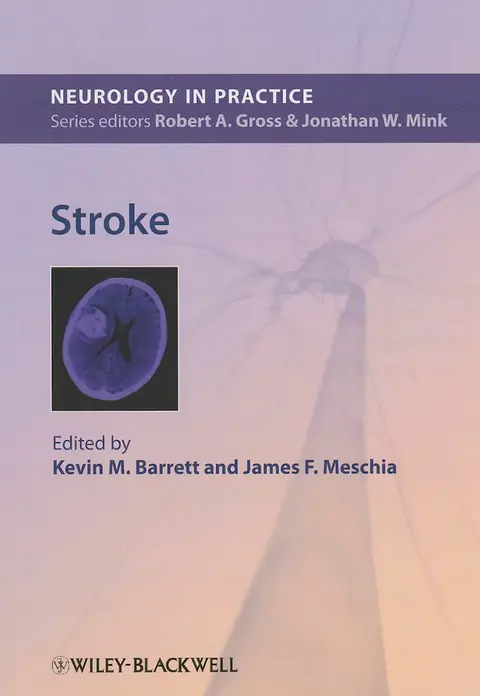 Cover of Stroke