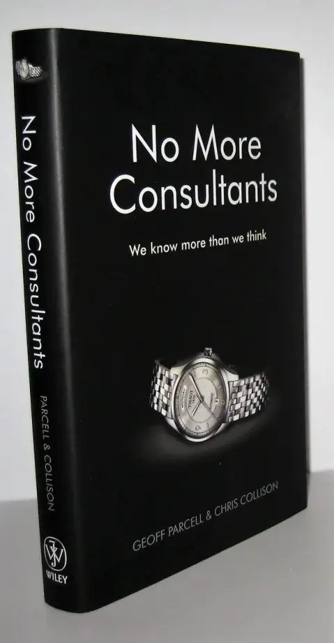 Cover of No More Consultants
