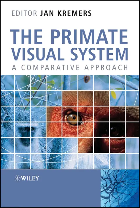 Cover of The Primate Visual System