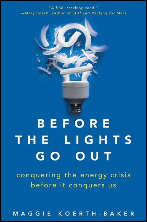 Cover of Before the Lights Go Out