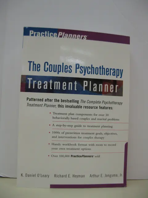 Cover of The Couples Psychotherapy Treatment Planner