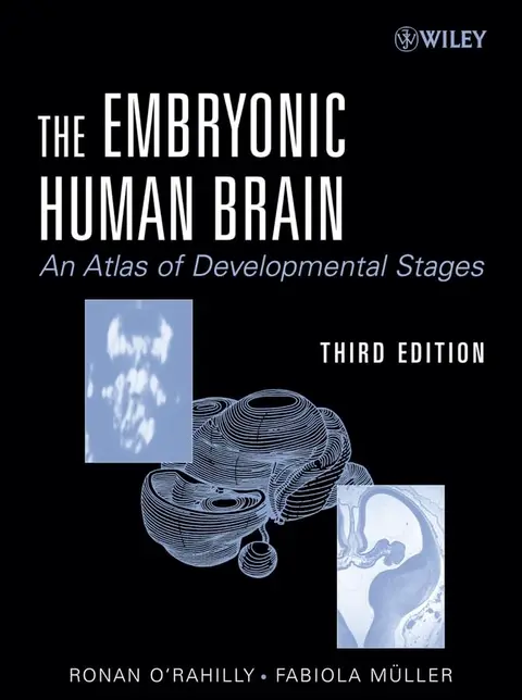 Cover of The Embryonic Human Brain