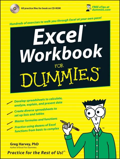 Cover of Excel Workbook for Dummies