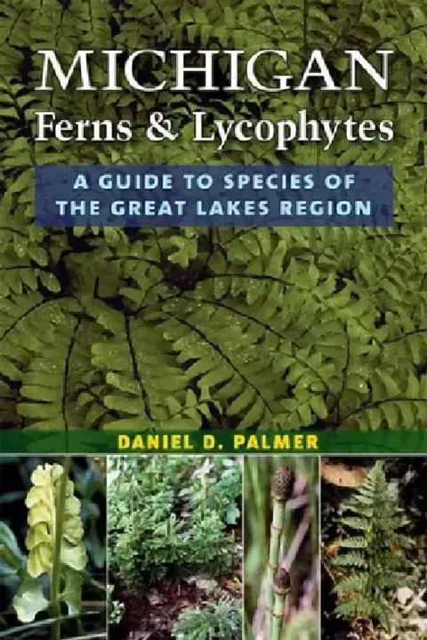 Cover of Michigan Ferns and Lycophytes
