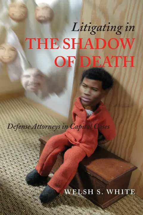 Cover of Litigating in the Shadow of Death