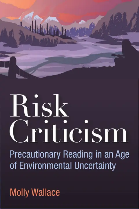 Cover of Risk Criticism