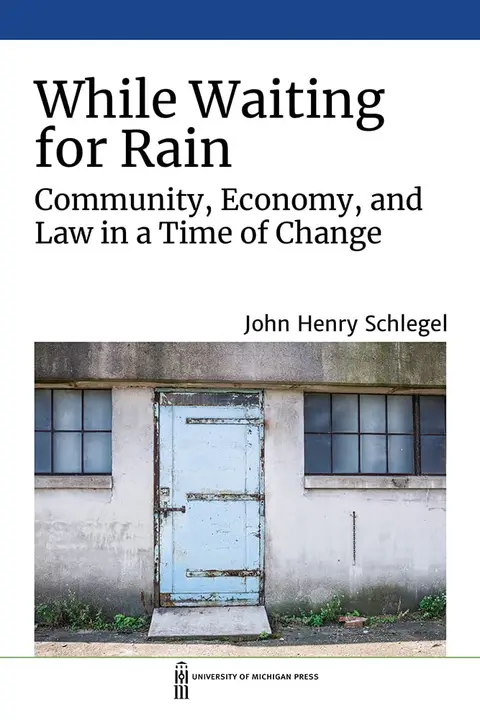 Cover of While Waiting for Rain