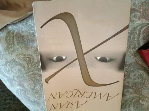 Cover of Asian American X