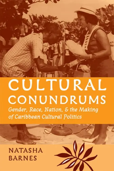 Cover of Cultural Conundrums