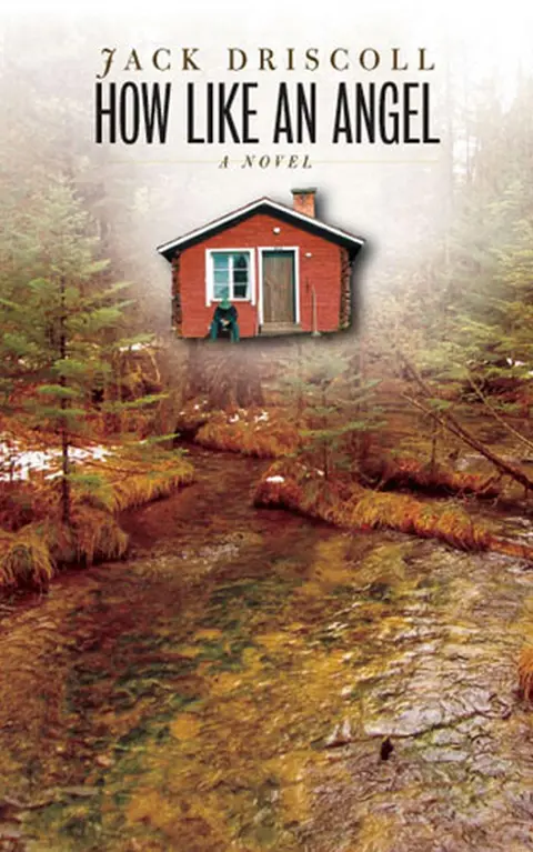 Cover of How Like an Angel