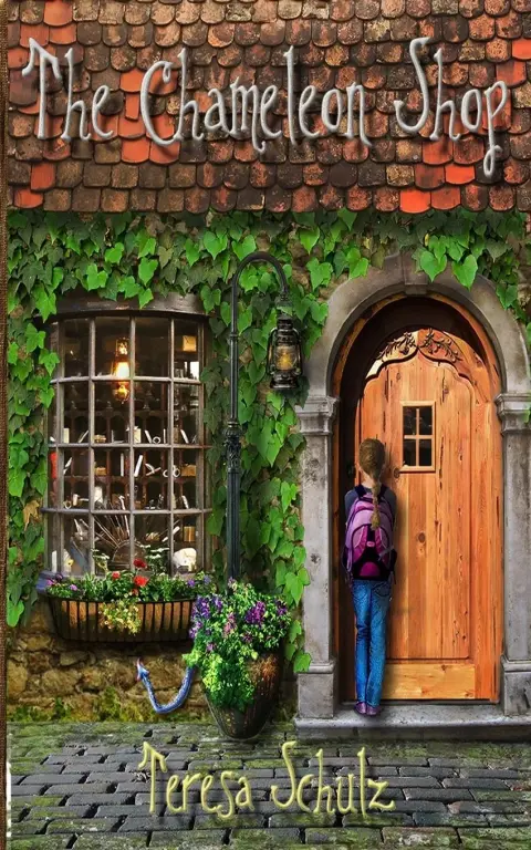 Cover of The Chameleon Shop