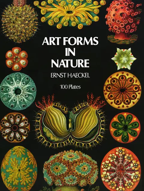 Cover of Art Forms in Nature