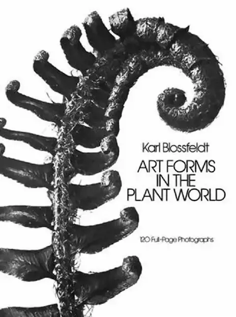 Cover of Art Forms in the Plant World