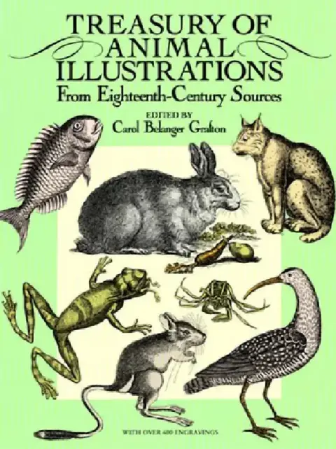 Cover of Treasury of Animal Illustrations