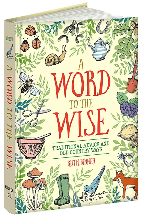 Cover of A Word to the Wise