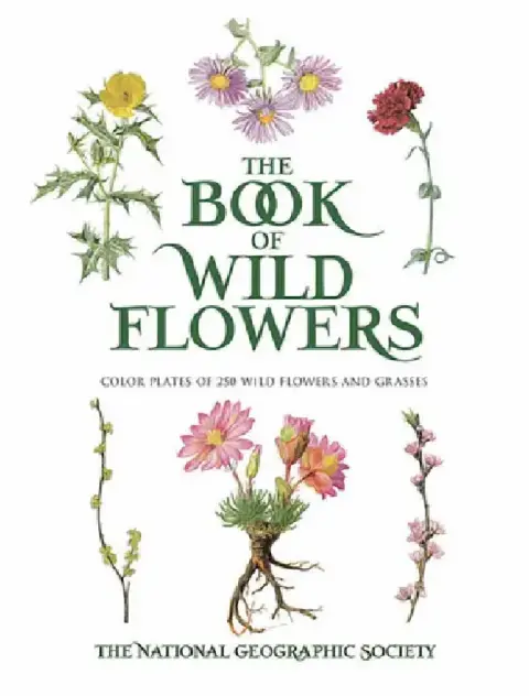 Cover of The Book of Wild Flowers